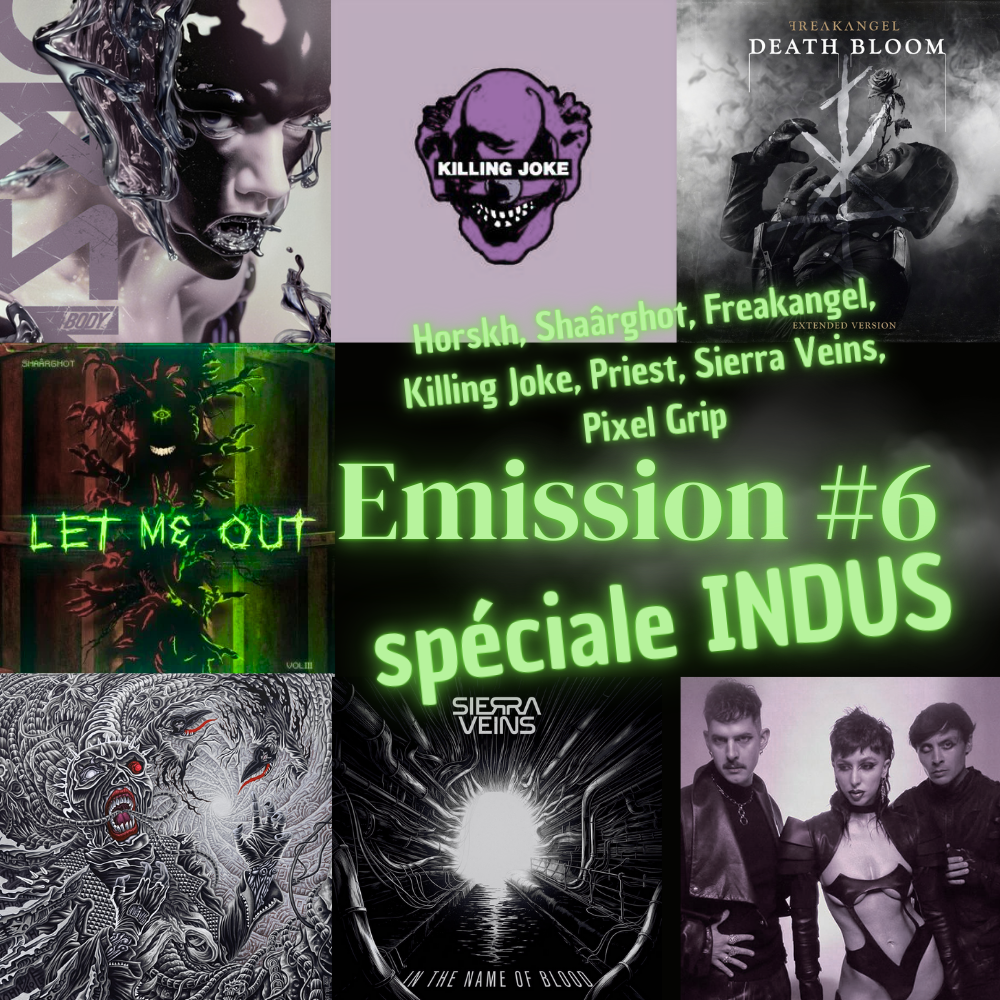 Into The Pit Into The Pit  du 01 12 2025