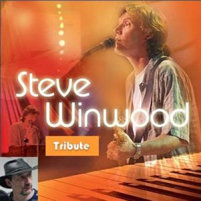 Harvest Steve WINWOOD
