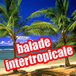 Balade intertropicale<br/>04 05 2024