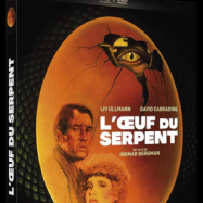 Sous les jupes des films29 11 2021