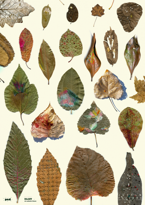 L'oreille curieuse 30/09/20 - "Wild Leaves" de Justin Palermo Le magazine des actualités locales et culturelles L'oreille curieuse 30/09/20 - "Wild Leaves" de Justin Palermo