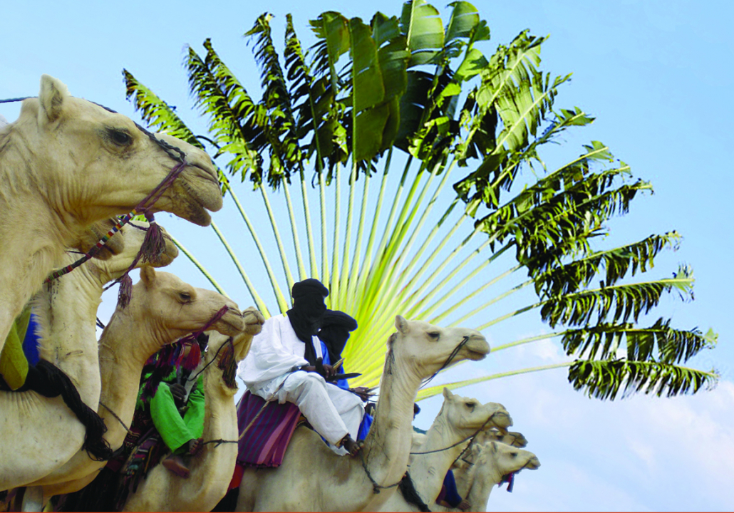 L'oreille curieuse 30/01/20 - du Sahara à Madagascar + chronique Sciences Le magazine des actualités locales et culturelles L'oreille curieuse 30/01/20 - du Sahara &agrave; Madagascar + chronique Sciences