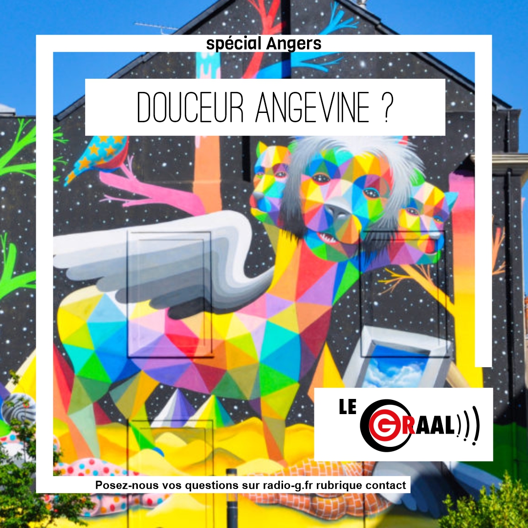 Graal - D'où vient l’expression "la douceur angevine" ? Question Graal Graal -  D'où vient l’expression "la douceur angevine" ?