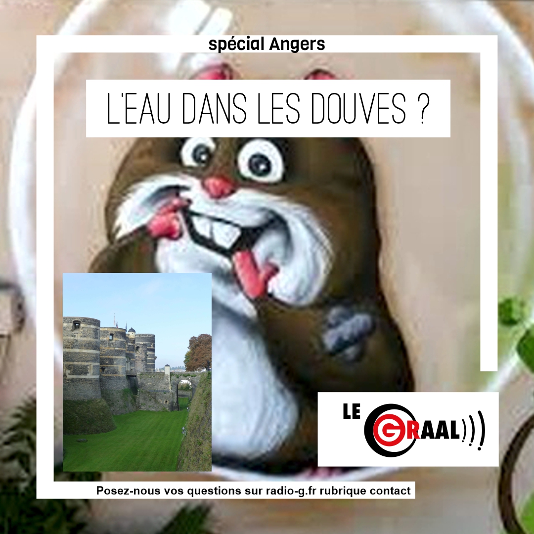Graal - Pourquoi n'y a-t-il pas d'eau dans les douves du Château d’Angers ? Question Graal Graal - Pourquoi n'y a-t-il pas d'eau dans les douves du Château d’Angers ?