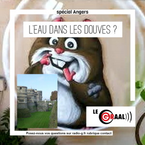 Graal - Pourquoi n'y a-t-il pas d'eau dans les douves du Château d’Angers ? Radio G!