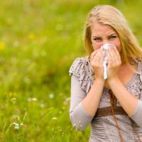 L'actu perchée de Loizeau L'actu perchée - L'allergie au pollen
